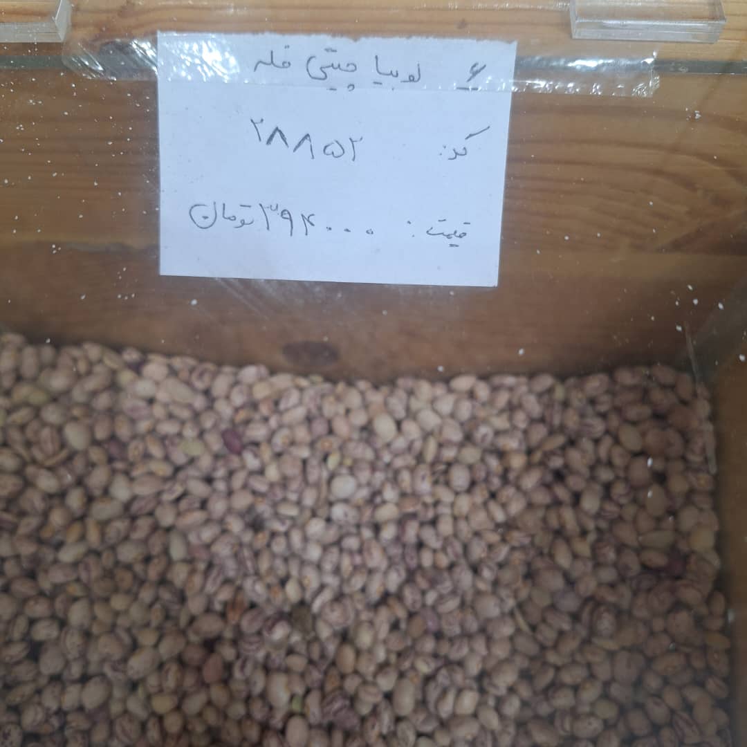 تصویر محصول